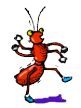 animated ant